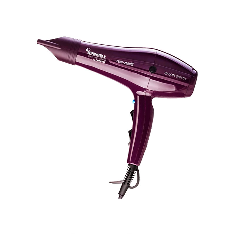 سشوار حرفه ای مدل PR250AT پرنسلی ارسال از 3 روز کاری آینده